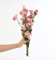 Pembe Lisyantus Kesme
